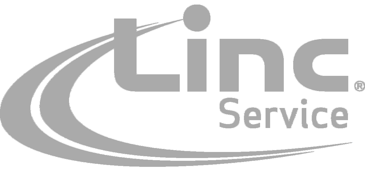 link-service-3